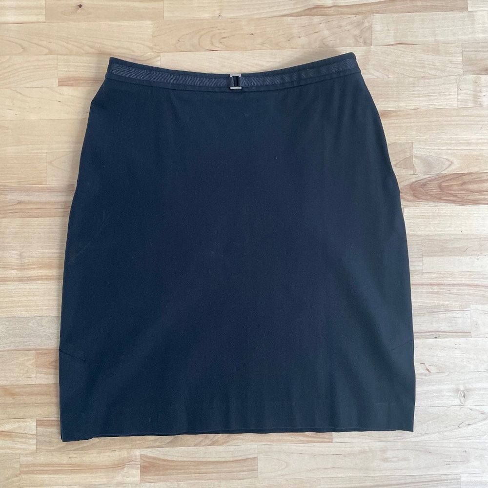 Ann Taylor skirt